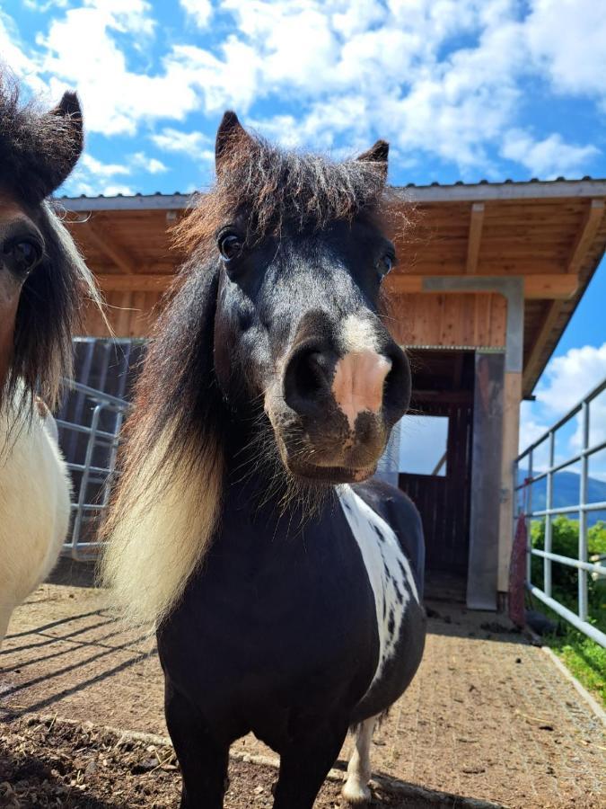 Berggasthof Karlbauer Lendorf Bagian luar foto